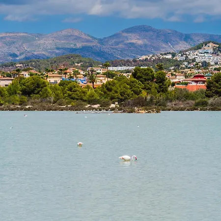 Costablancadreams Flamingo Frentemar In アパート カルプ